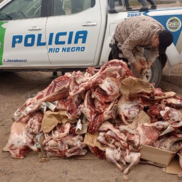 Policía secuestró 50 animales faenados en Ingeniero Jacobacci