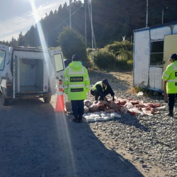 Bariloche: evadió un control policial porque trasladaba carne sin habilitación y en pésimas condiciones de salubridad