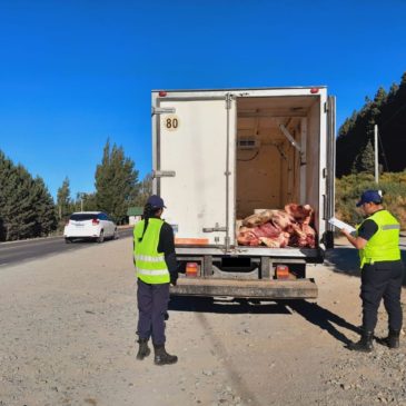 Bariloche: Seguridad Vial detectó un cargamento de 300 kilos de carne en descomposición, sin cadena de frío y con irregularidades en la documentación