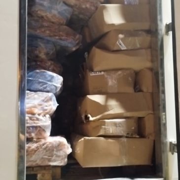 Más de 9 mil kilos de langostinos fueron decomisados en Río Colorado