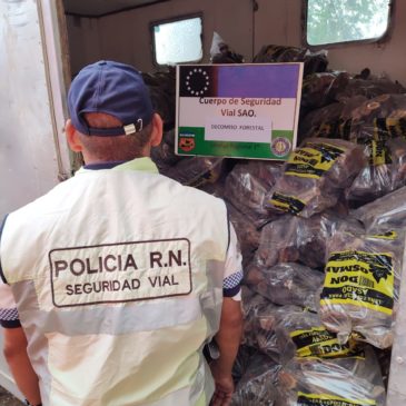 SAO: la Policía decomisó leña transportada de forma ilegal