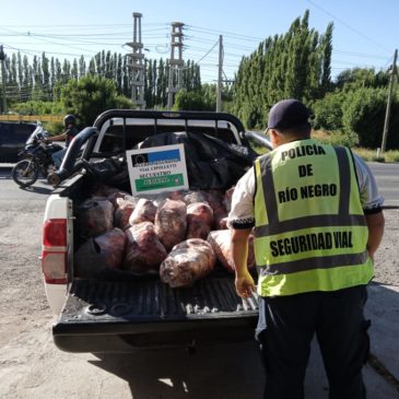Cipolletti: Policía decomisó carne que era trasladada de forma irregular