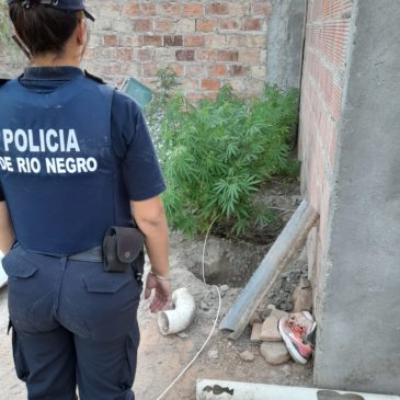 En un allanamiento en Las Grutas la Policía de Río Negro recuperó elementos sustraídos e incautó plantas de marihuana