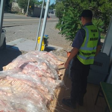 Policía secuestró más de 400 kilos de carne en un operativo vehicular en Catriel
