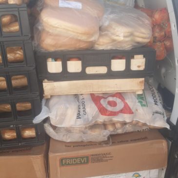 San Antonio Oeste: se decomisaron productos alimenticios transportados de manera irregular