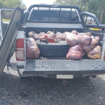 Decomisan más de 400 kilos de carne durante un operativo en Alto Valle