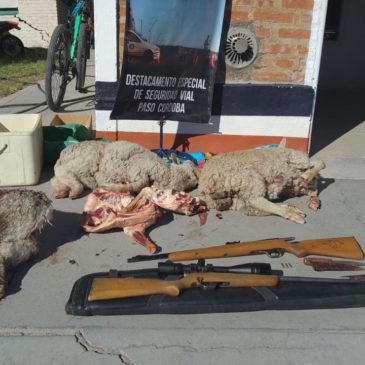 Paso Córdoba: secuestran armas y animales faenados