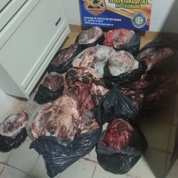 Decomisan más de 300 kilos de carne procedente de la faena clandestina