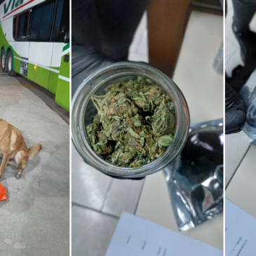 Detuvieron en Choele Choel a un hombre que transportaba droga en un micro
