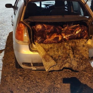 Puente Dique: Policía decomisó carne equina transportada de manera ilegal