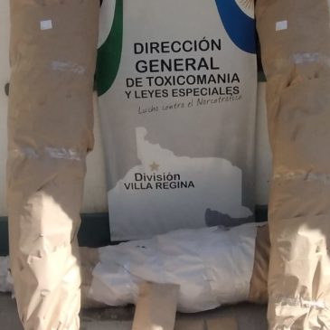 Villa Regina: Policía secuestró plantas de marihuana en un allanamiento