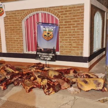 Paso Córdoba: decomisan e incineran alrededor de 500 kilos de carne faenada clandestina