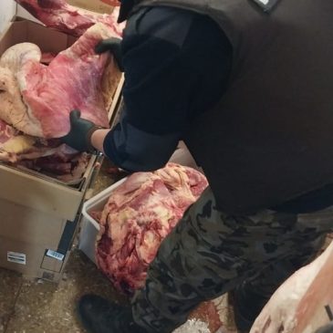 Se decomisaron más de 800 kilos de carne en mal estado en carnicerías de Roca y Allen