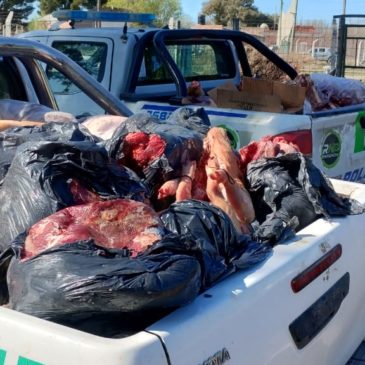 Más de 1.600 kilos de carne decomisados en comercios de San Javier