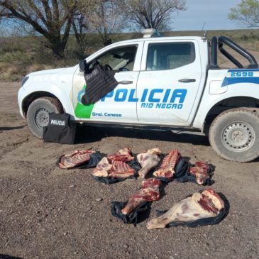 Nuevo decomiso de carne por parte de la Policía de Río Negro