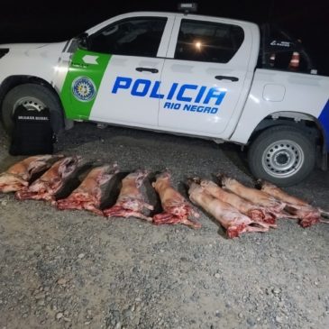 General Conesa: la Policía decomisó animales faenados de manera clandestina