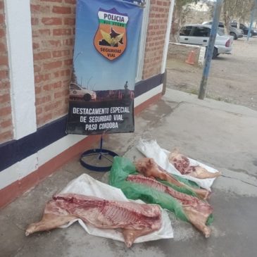 Decomisaron e incineraron carne transportada en mal estado