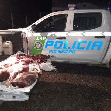 San Javier: Policía incautó una cantidad importante de carne faenada