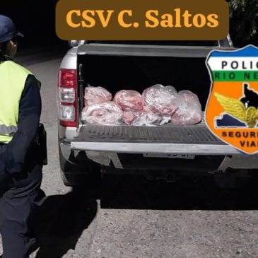 Cinco Saltos: 65.000 kilos de carne vacuna fueron decomisadas por la Policía