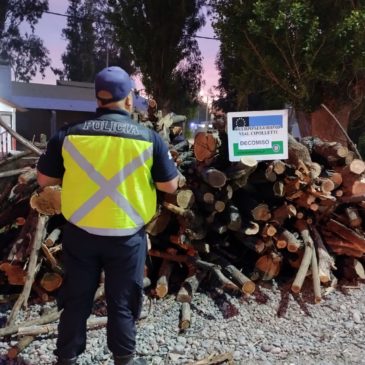 Una tonelada de leña fue decomisada por la Policía en un control de rutina