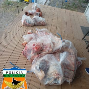 La Policía decomisó 100 kilos de carne transportada ilegalmente