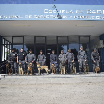 Fue presentado en Viedma un curso para guías de caninos detectores