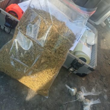 En allanamientos simultáneos, Policía encontró marihuana y demás objetos vinculados a una causa