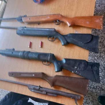 Policía encontró un arsenal durante un allanamiento realizado en una chacra cipoleña