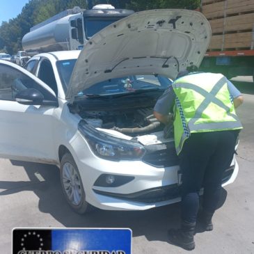 Policía secuestró un auto con sus partes falsas y con pedido de secuestro por robo