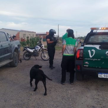 Viedma: Policía secuestró una camioneta a un conductor que manejaba alcoholilzado