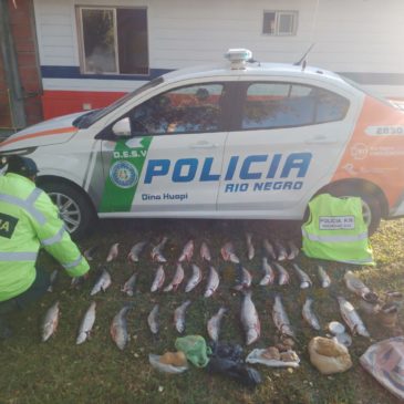 Sorprenden durante la madrugada a un hombre que transportaba más de 30 truchas