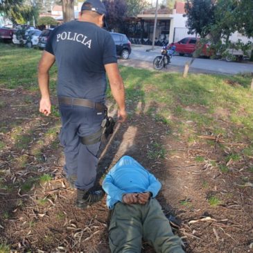 Viedma: la Policía detuvo a un hombre que robó una cartera del interior de un vehículo