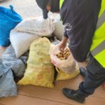 Casa de Piedra: Policía decomisó productos ilegales y astas de ciervo