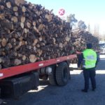 Policía decomisó 15 kilos de leña forestal en Allen