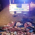 Secuestran más de 170 kilos de carne faenada y transportada de forma irregular