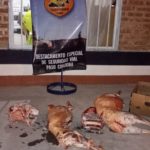Secuestro de carne ovina en Ruta N° 6
