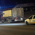 Policía secuestró equinos en transporte irregular