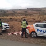 La Policía realizó otro secuestro de carne vacuna faenada clandestinamente