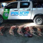 Detectan transporte ilegal de carne ovina en operativo policial