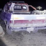 Infracción a la Ley de Fauna: control en Ruta 53 y secuestro de vehículo