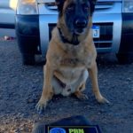 General Roca: incautan marihuana y cocaína durante un control vehicular en Ruta 6