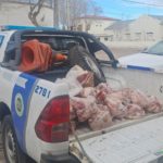 La Policía de Río Negro secuestró 450 kilos de carne en carnicerías por faena clandestina e insalubridad