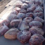 Decomisan 600 kilos de carne equina en Ruta Provincial N° 7