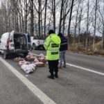 Operativo Vial en Chichinales : decomisan 225 kg de productos cárnicos sin documentación