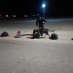 Control vial y operativo antinarcóticos en la Ruta Provincial N° 8