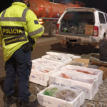 La Policía secuestró más de 100 kilos de pescados y mariscos transportados sin refrigeración