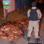 Decomisan 450 kilos de carne de faena clandestina de equino