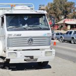 Decomisan camión con animales por irregularidades en la documentación en Paso Córdoba