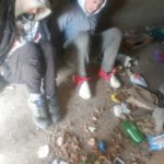 Rápido accionar policial permitió esclarecer un robo en General Roca