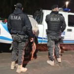 Eficaz intervención en El Bolsón para recuperar varios equinos sustraídos en Chubut